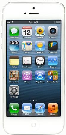 Смартфон Apple iPhone 5 32Gb White & Silver - Дубна