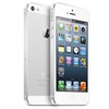 Apple iPhone 5 64Gb white - Дубна